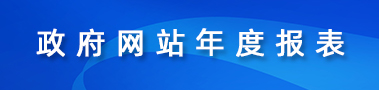 政府網站年度報表
